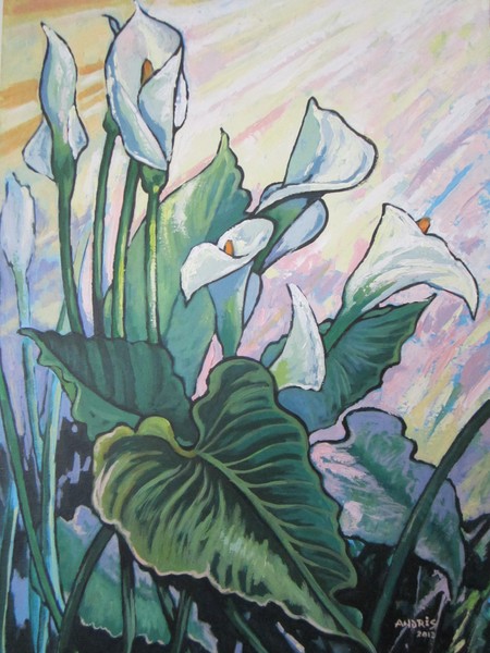 Calla Lilly 1