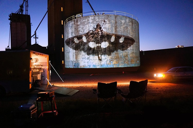 Moth Projections