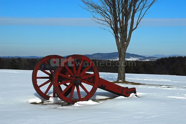 Cannons in Winter at Saratoga Battlefield I