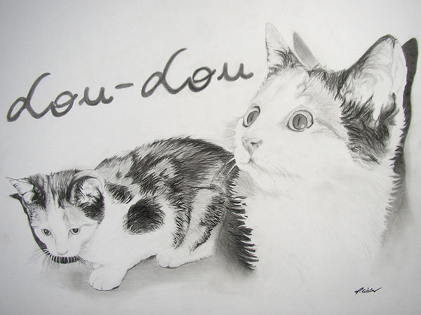 Lou-Lou Cat Portrait