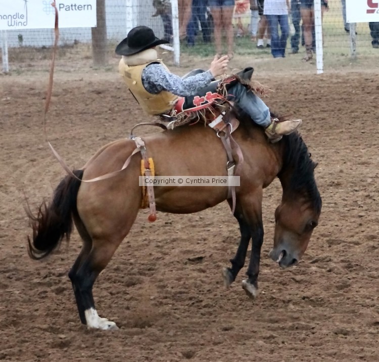 Bronc Riding