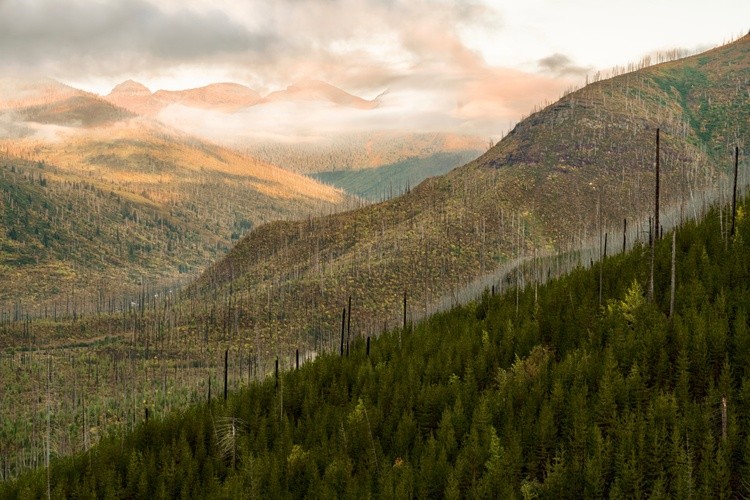 A view over the mountains during sunrise