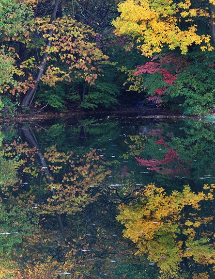 Trout Valley Pond