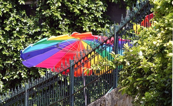 Rainbow Unbrella