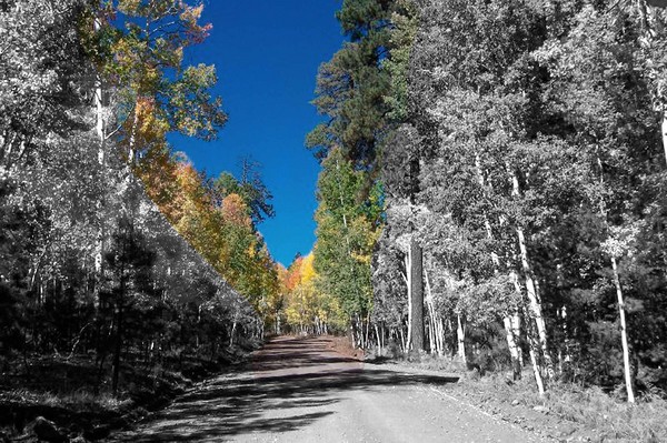 Northern Arizona Colourization