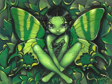 Green Butterfly Fantasy