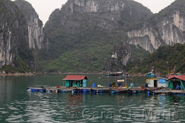 Floating Village, Ha Long Bay, Vietnam