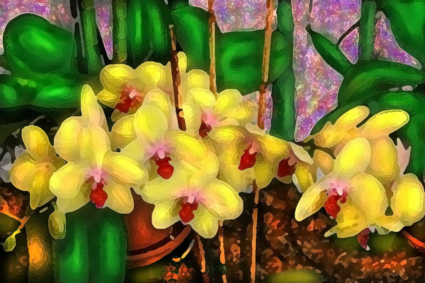 SPRIG OF YELLOW PAINTERLY ORCHIDS