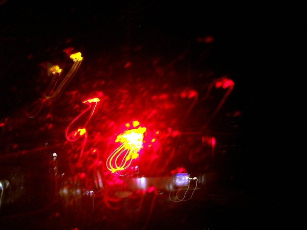 Red Lights. Photo.