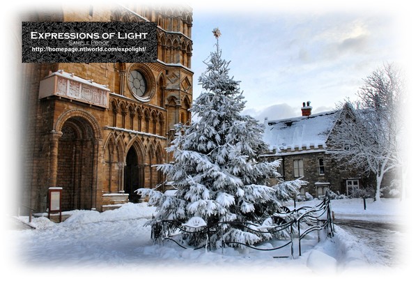 ExpoLight-Card-Lincoln-Cathedral-Christmas-Tree-Of-Life-Winter-2010-0007C (SP-Photography)
