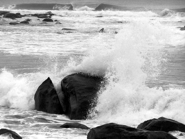 Whale Rock Splash 