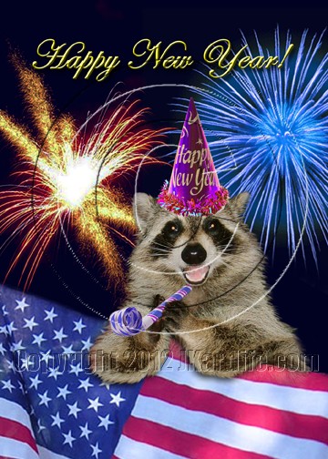 Happy New Year Raccoon 906442