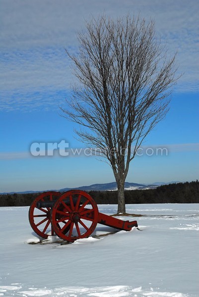 Cannons in Winter at Saratoga Battlefield II