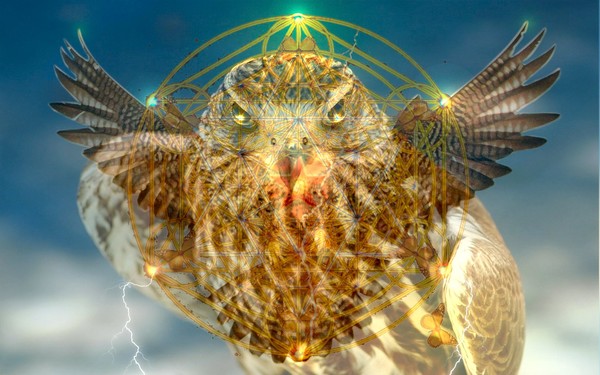 Metatron Raptor