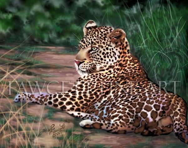 Resting Leopard