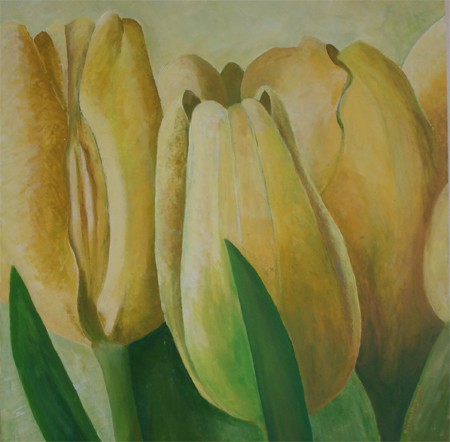 yellow tulips