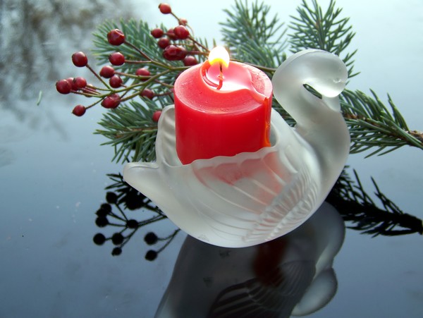 Swam-shaped candle holder