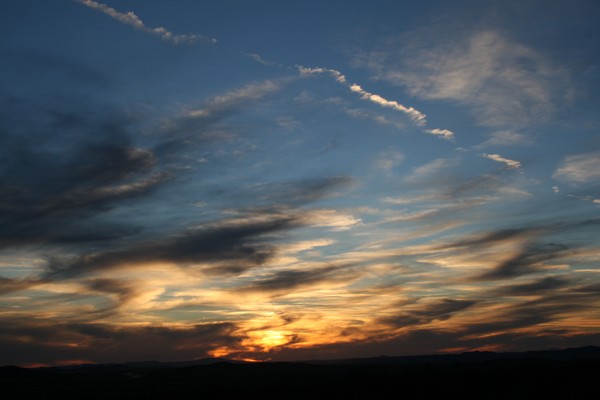 Marbled Skys  (up close)