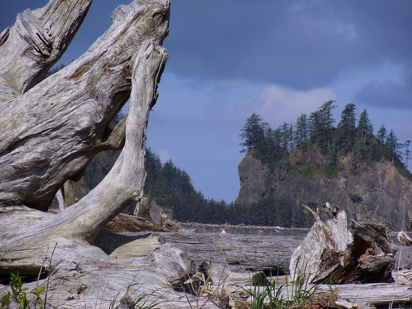 Sea Stacks