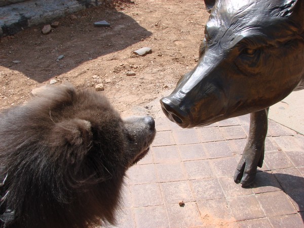 Dog Meets Pig Statue