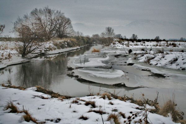 Frozen Stream