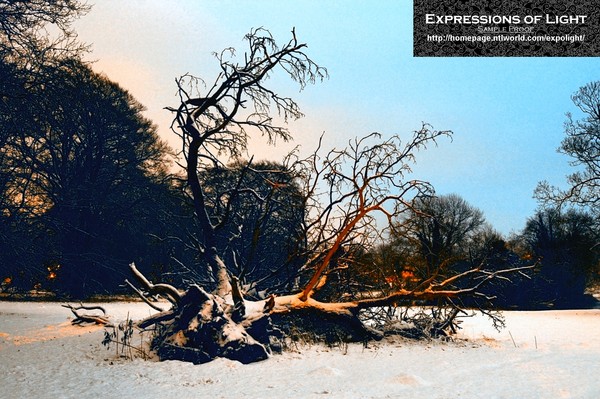 ExpoLight Branston Hall Park Moonlit Night Winter 0031C (Sample Proof Photography)