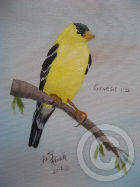 goldenfinch
