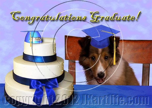 Congratulations Graduate Sheltie Puppy 926495