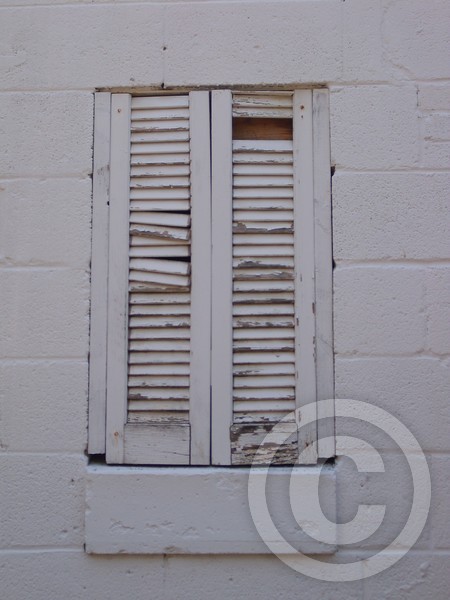 Tattered Window