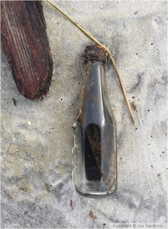 Wood, bottle and straw