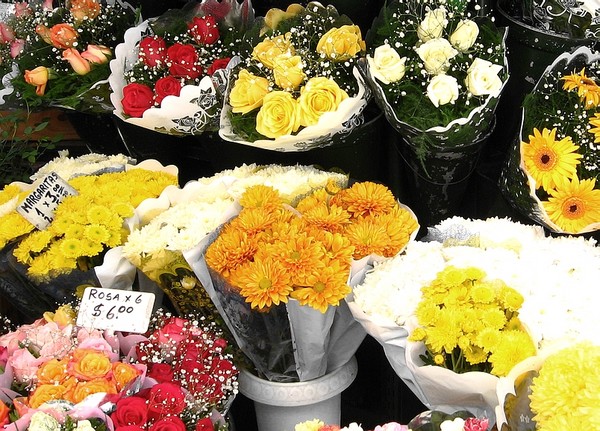 Flowers to sell in Buenos Aires 