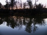 bayou reflections 56