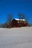 Saratoga Red Barn II