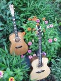 Guitars in my Garden