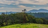 Mt. Diablo from the John Muir Historic Site - February 2022