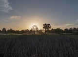 Dawn over the Marsh - April 2019