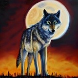 Painted wolf and moon 2