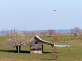 Buzzard Barn