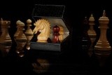 by chess bazaar