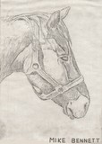 Metal Plate Etching - Horse