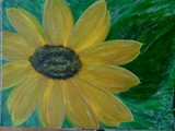 untitled sunflower