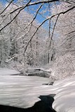 Housatonic River in Winter II