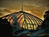 SUNSET ON A GREENHOUSE'S ROOF