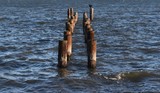 Old Pier - December 31, 2018