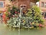 FOUNTAIN IN THE CITY ..