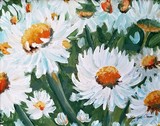 Daisies To Brighten the Soul