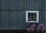 Barn with flowers