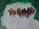 Herd of horses in canter