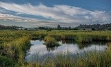 Pond at Arch Walkway - August 2023