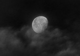 Misty Moon ~June 2022